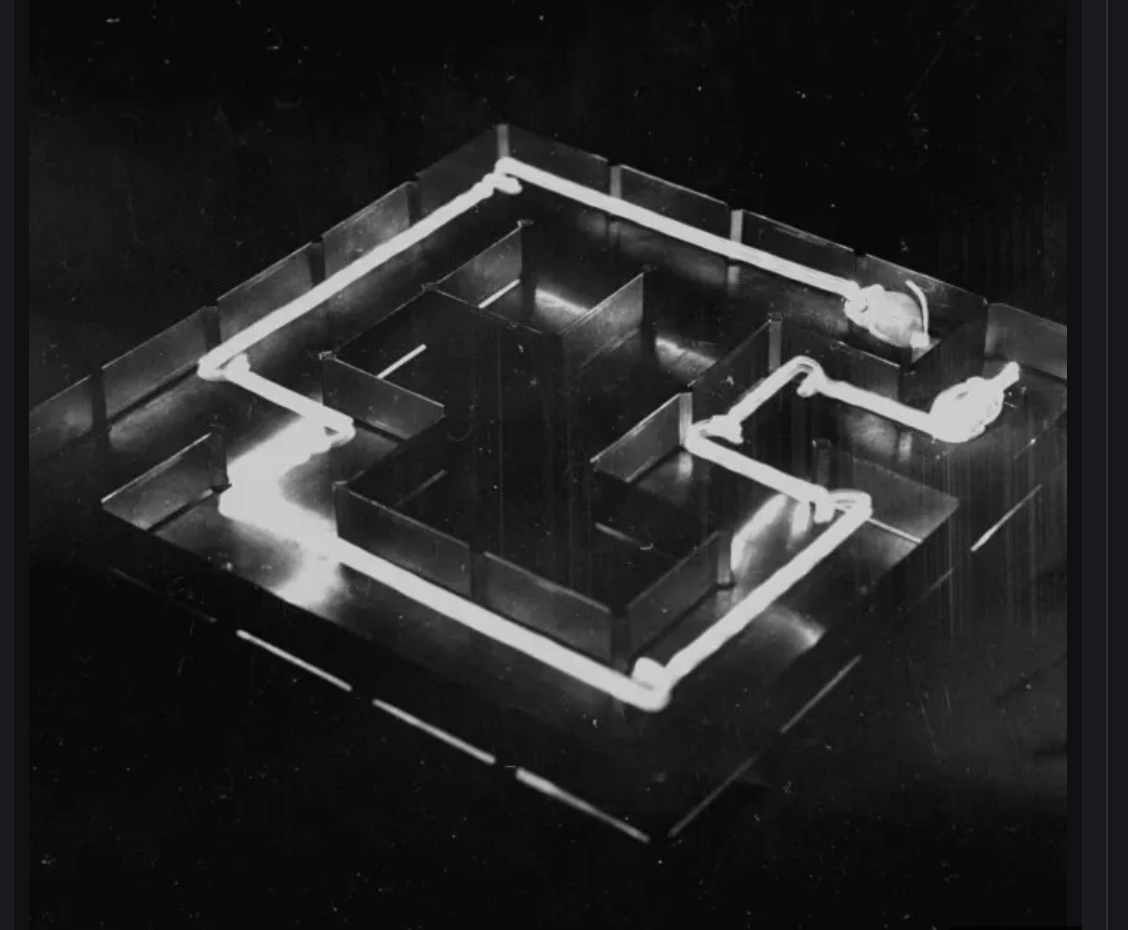 First Micromouse | Thesus
